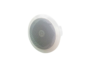 IP network smallpox speaker HIP-9008A