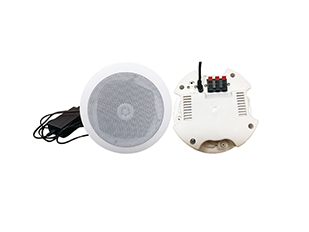Active smallpox speaker main box HW-500PB